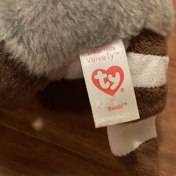 Bandit the raccoon - Picture 2 of 3